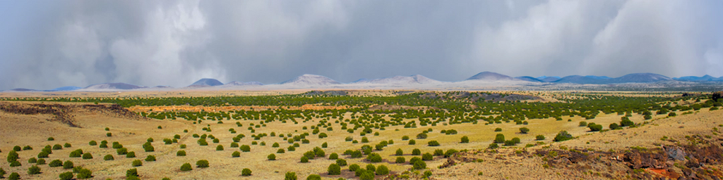 Coconino National Forest Arizona right