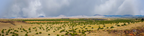 Coconino National Forest Arizona right