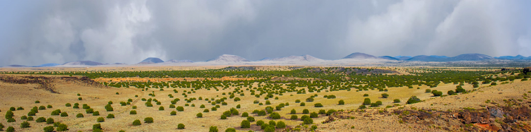 Coconino National Forest Arizona right