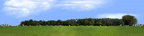 Round Hay Bales with Treelines center repeatable