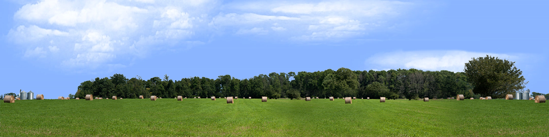Round Hay Bales with Treelines center repeatable