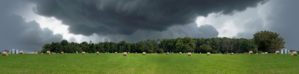 Round Hay Bales with Treelines center repeatable