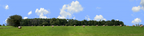 Round Hay Bales with Treelines left