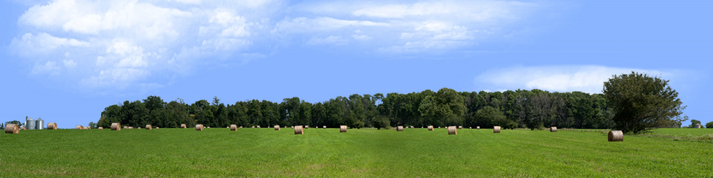 Round Hay Bales with Treelines right