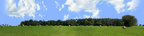 Round Hay Bales with Treelines right