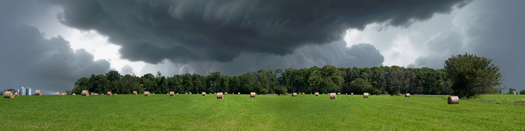 Round Hay Bales with Treelines right