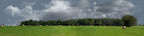 Round Hay Bales with Treelines right