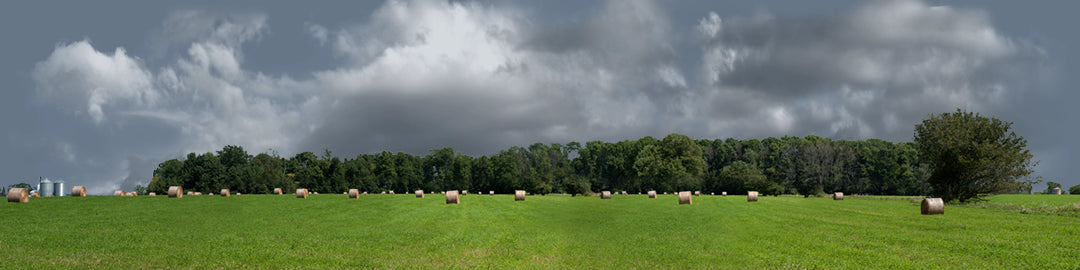 Round Hay Bales with Treelines right