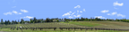 Vineyards Placeville California left