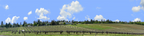 Vineyards Placeville California left