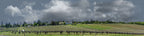 Vineyards Placeville California left