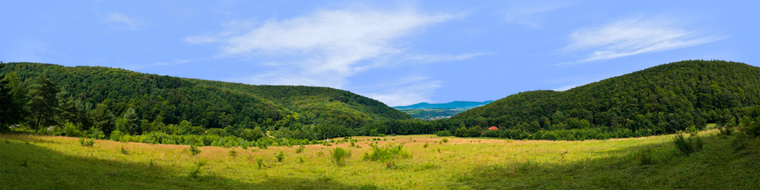 Appalachian Mountain Valley right