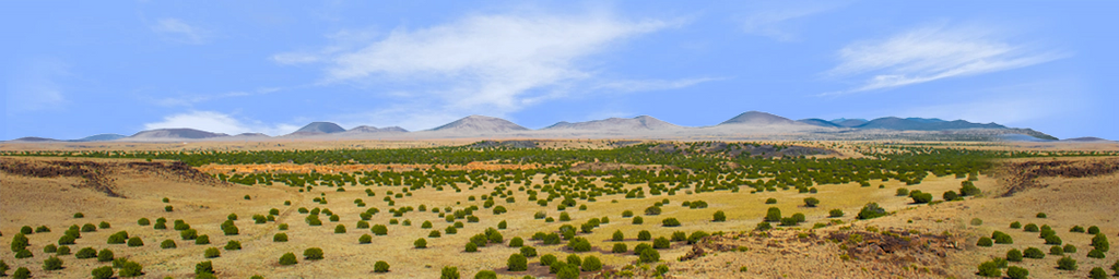 Coconino National Forest Arizona center repeatable