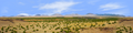 Coconino National Forest Arizona center repeatable