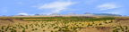 Coconino National Forest Arizona center repeatable