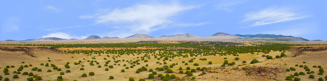 Coconino National Forest Arizona center repeatable