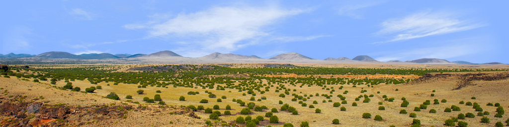 Coconino National Forest Arizona left