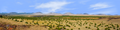 Coconino National Forest Arizona left