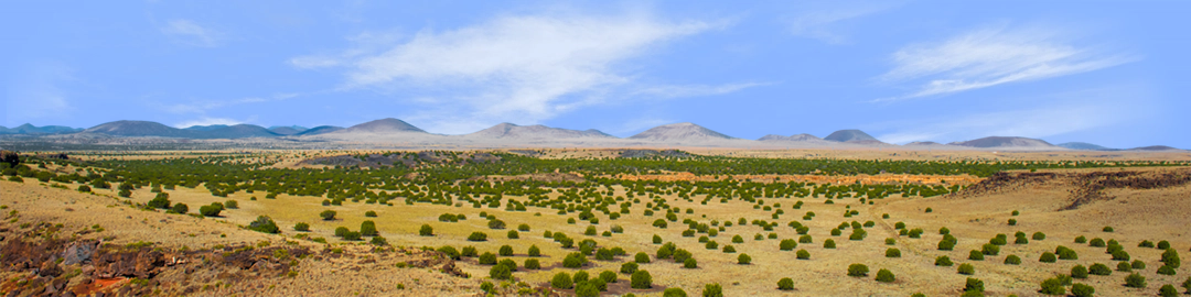 Coconino National Forest Arizona left