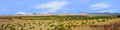 Coconino National Forest Arizona right