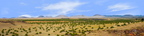 Coconino National Forest Arizona right