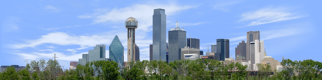 Dallas Skyline with Treeline left