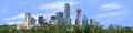 Dallas Skyline with Treeline right
