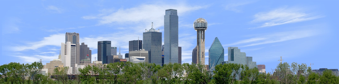 Dallas Skyline with Treeline right