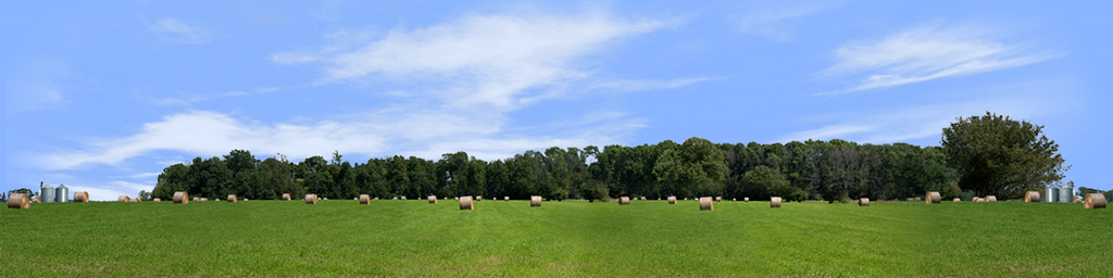 Round Hay Bales with Treelines center repeatable