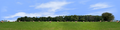 Round Hay Bales with Treelines center repeatable