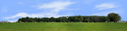 Round Hay Bales with Treelines center repeatable