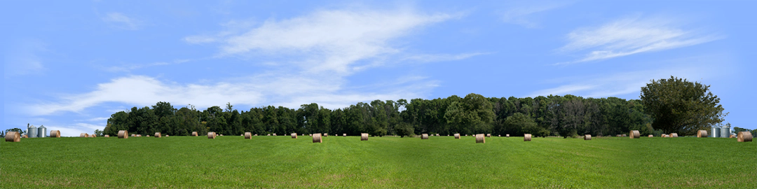 Round Hay Bales with Treelines center repeatable