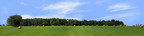 Round Hay Bales with Treelines left