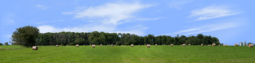Round Hay Bales with Treelines left