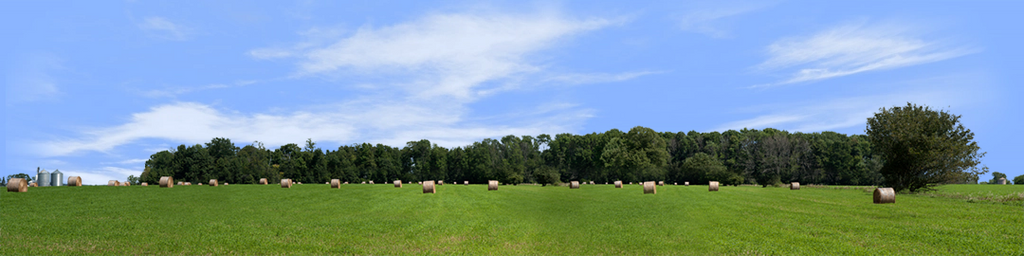 Round Hay Bales with Treelines right