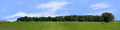 Round Hay Bales with Treelines right