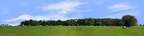 Round Hay Bales with Treelines right