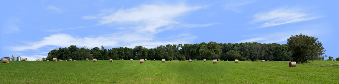 Round Hay Bales with Treelines right