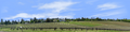 Vineyards Placeville California left