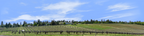 Vineyards Placeville California left