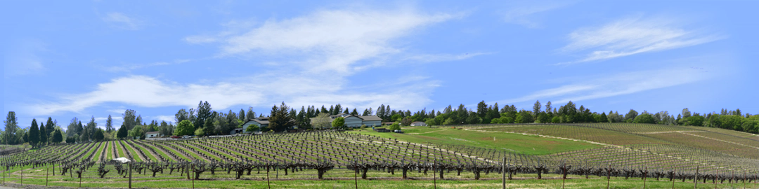 Vineyards Placeville California left