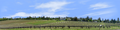 Vineyards Placeville California right
