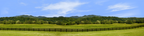Virginia Farm Treeline and Mountains left