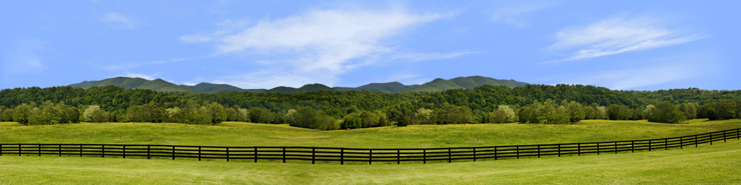 Virginia Farm Treeline and Mountains left