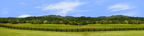 Virginia Farm Treeline and Mountains right