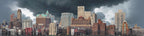 Transition Era Brooklyn Skyline right