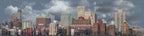 Transition Era Brooklyn Skyline right