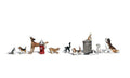 Dogs & Cats 11/