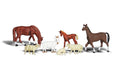 Livestock 6/