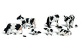 Holstein Cows 6/
